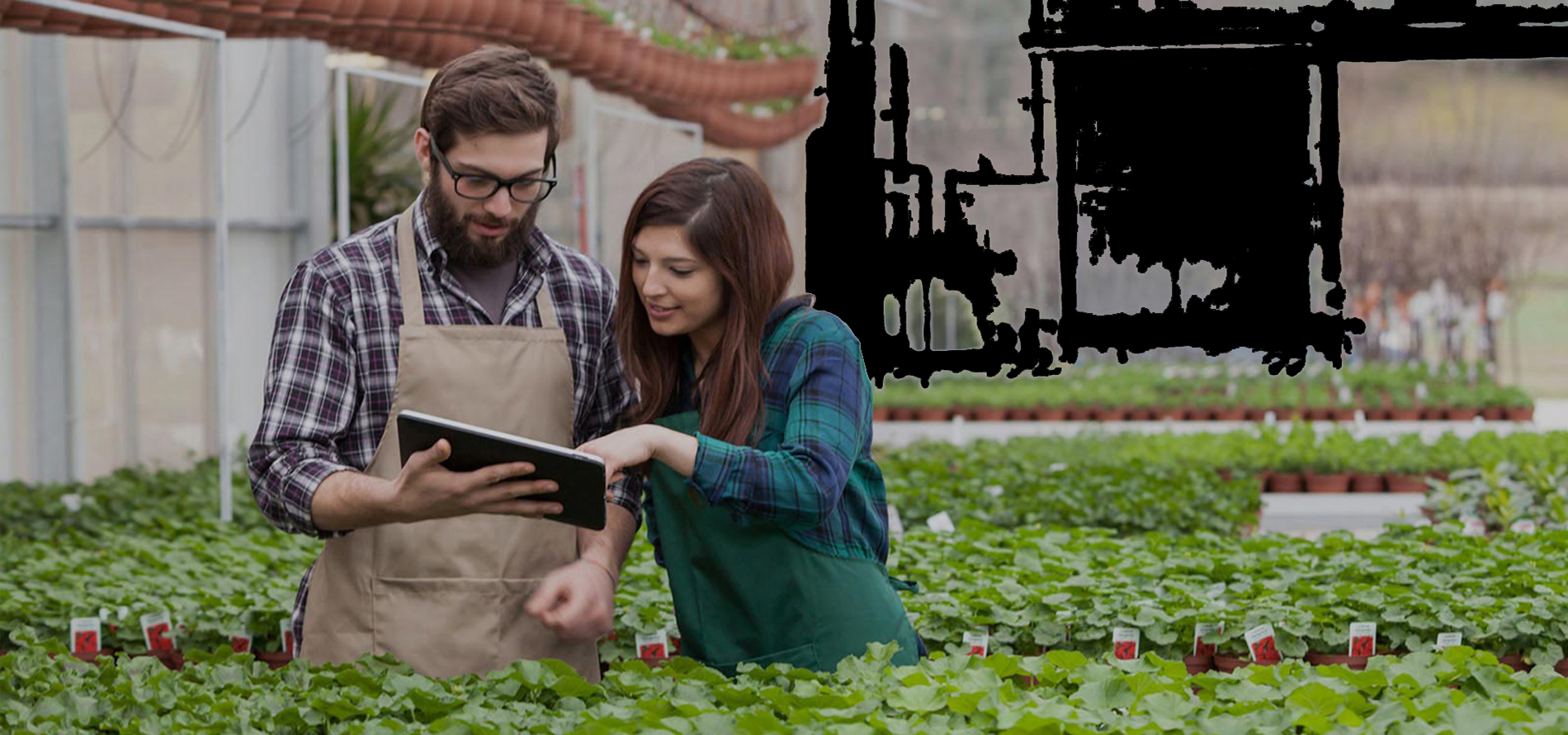 Experienced Gardening